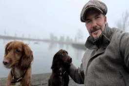 Дэвид Бекхэм поделился милыми кадрами с питомцами-ФОТО 