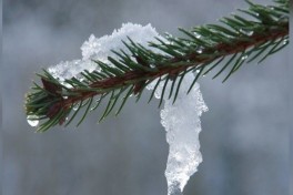 В среду в Баку сильный северо-западный ветер, мокрый снег и снег