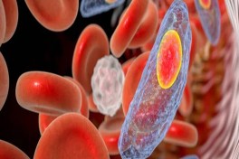 Ученые раскрыли скрытую структуру опасного паразита, заражающего треть человечества