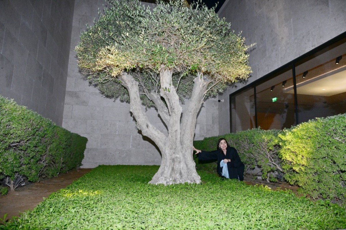 Лейла Алиева посетила музей Лувр Абу-Даби и Дом семьи Авраама-ФОТО 