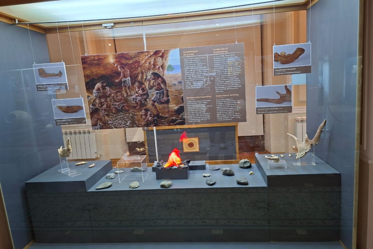 «Каждый экспонат — голос Азербайджана»: музей истории о международных проектах -  ИНТЕРВЬЮ 