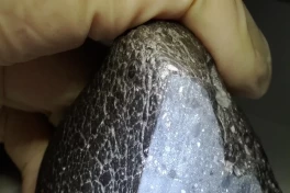 Ученые нашли большое количество воды в марсианском метеорите