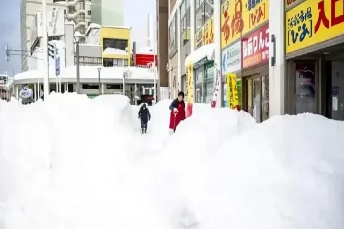 Число жертв снегопадов в Японии с 20 января достигло 45