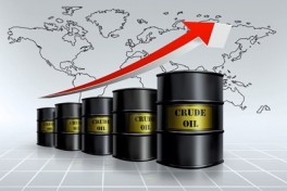 Цены на нефть Brent и WTI демонстрируют рост на мировых биржах