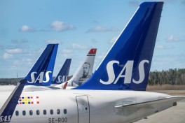 Самолет SAS развернулся над Европой из-за мыши на борту
