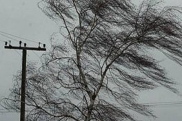 Желтое предупреждение : в ряде районов ожидается усиление ветра