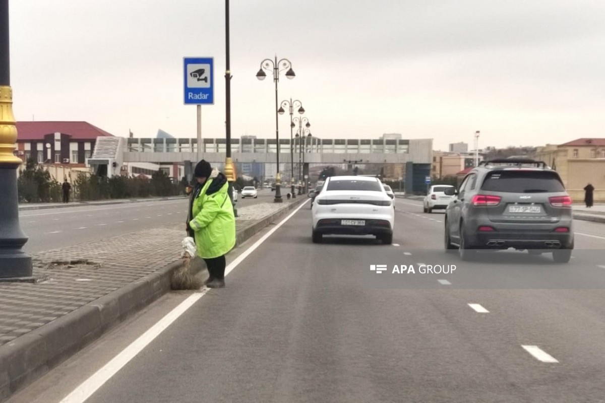 фото: Илькин Набиев