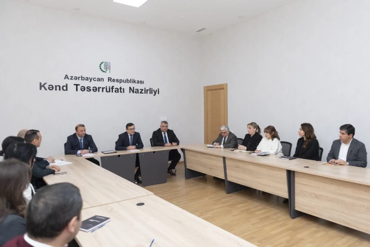 В Азербайджане создан новый частный агропарк площадью 7 600 гектаров-ФОТО 