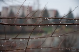 В Азербайджане сохраняется дождливая и ветреная погода