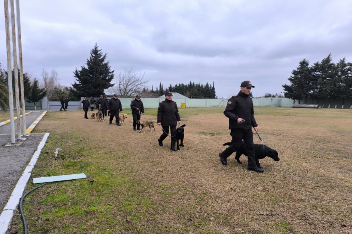 В МЧС показали тренировки служебных собак в экстремальных условиях-ФОТО 