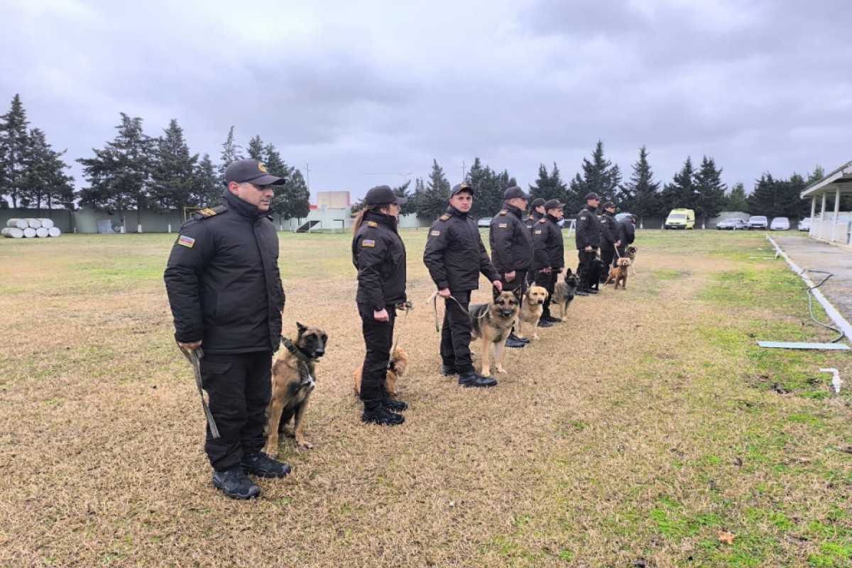 В МЧС показали тренировки служебных собак в экстремальных условиях-ФОТО 
