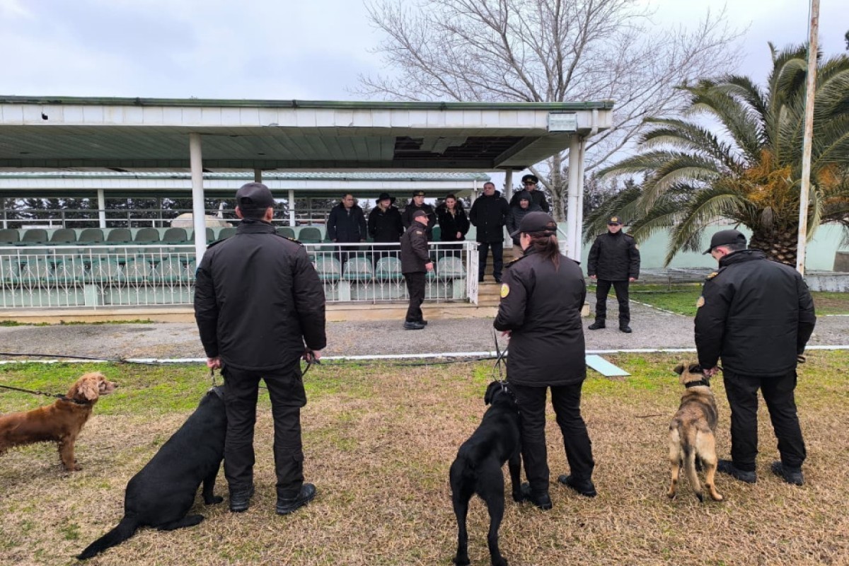 В МЧС показали тренировки служебных собак в экстремальных условиях-ФОТО 