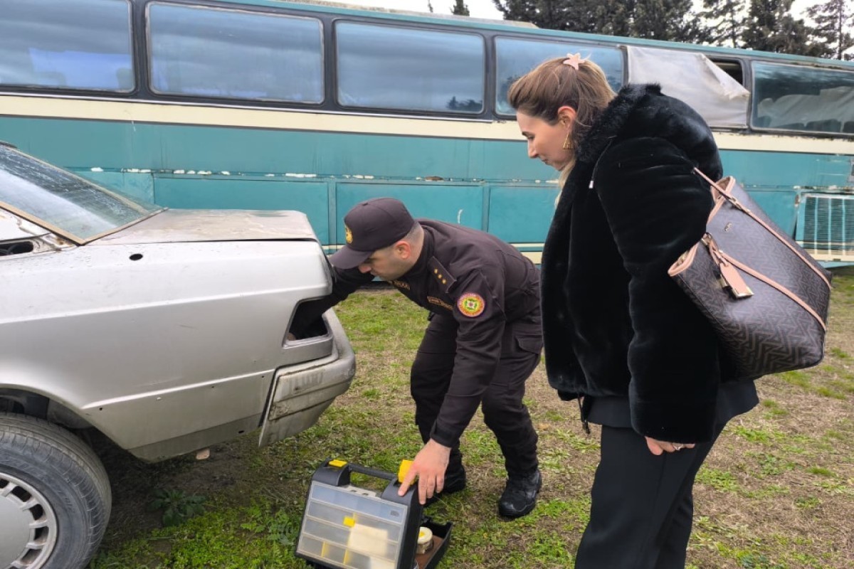 В МЧС показали тренировки служебных собак в экстремальных условиях-ФОТО 