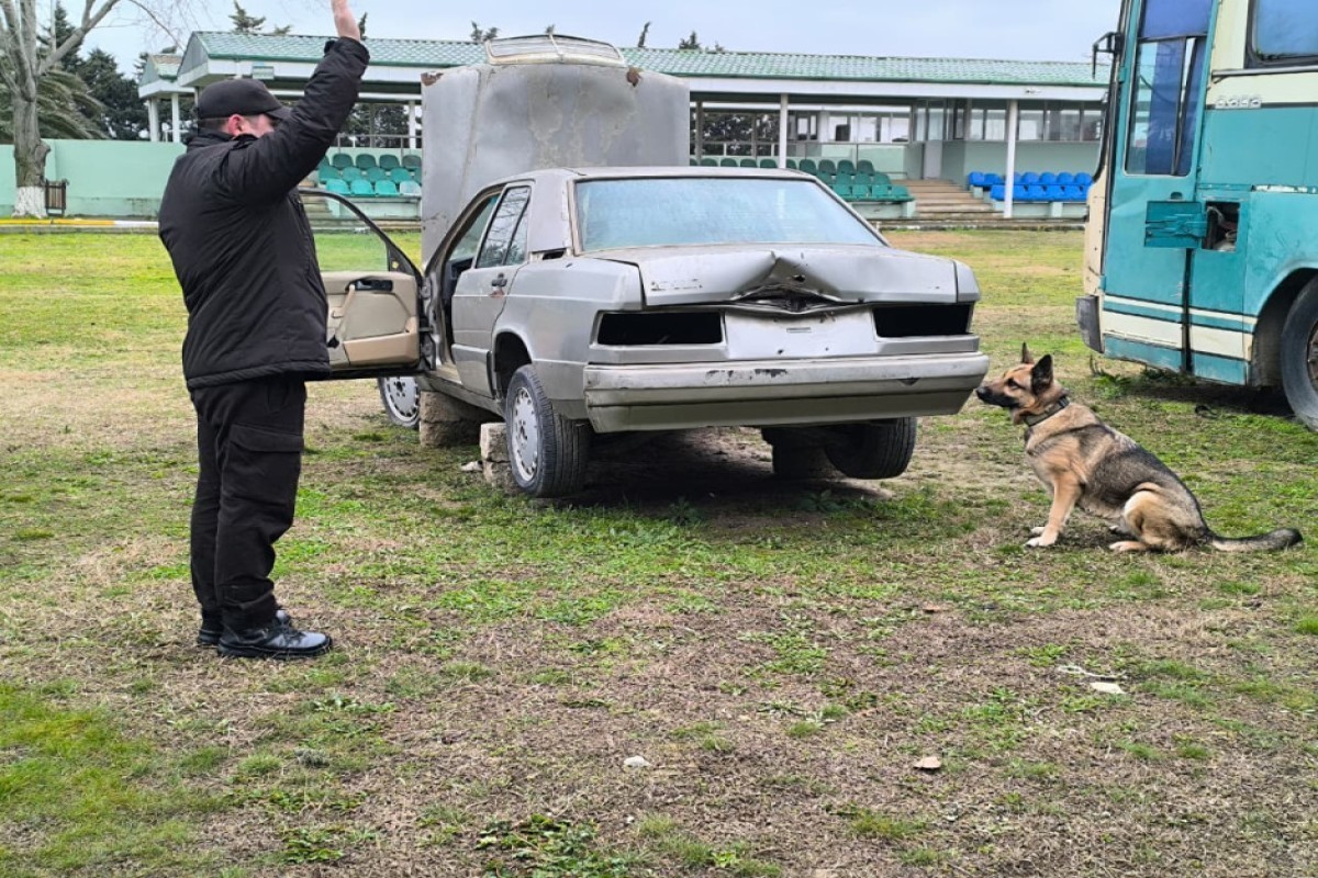 В МЧС показали тренировки служебных собак в экстремальных условиях-ФОТО 