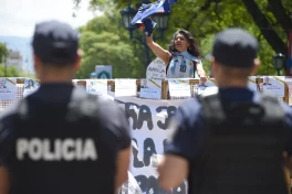 В Аргентине на многотысячной акции произошли столкновения полиции и протестующих