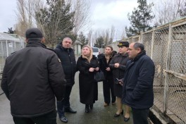 В МЧС показали тренировки служебных собак в экстремальных условиях-ФОТО 