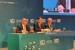 Стил заявил о прорывных итогах бакинской COP29