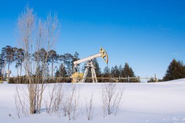 Венгрия и Словакия попросили Хорватию разрешить транзит нефти из России