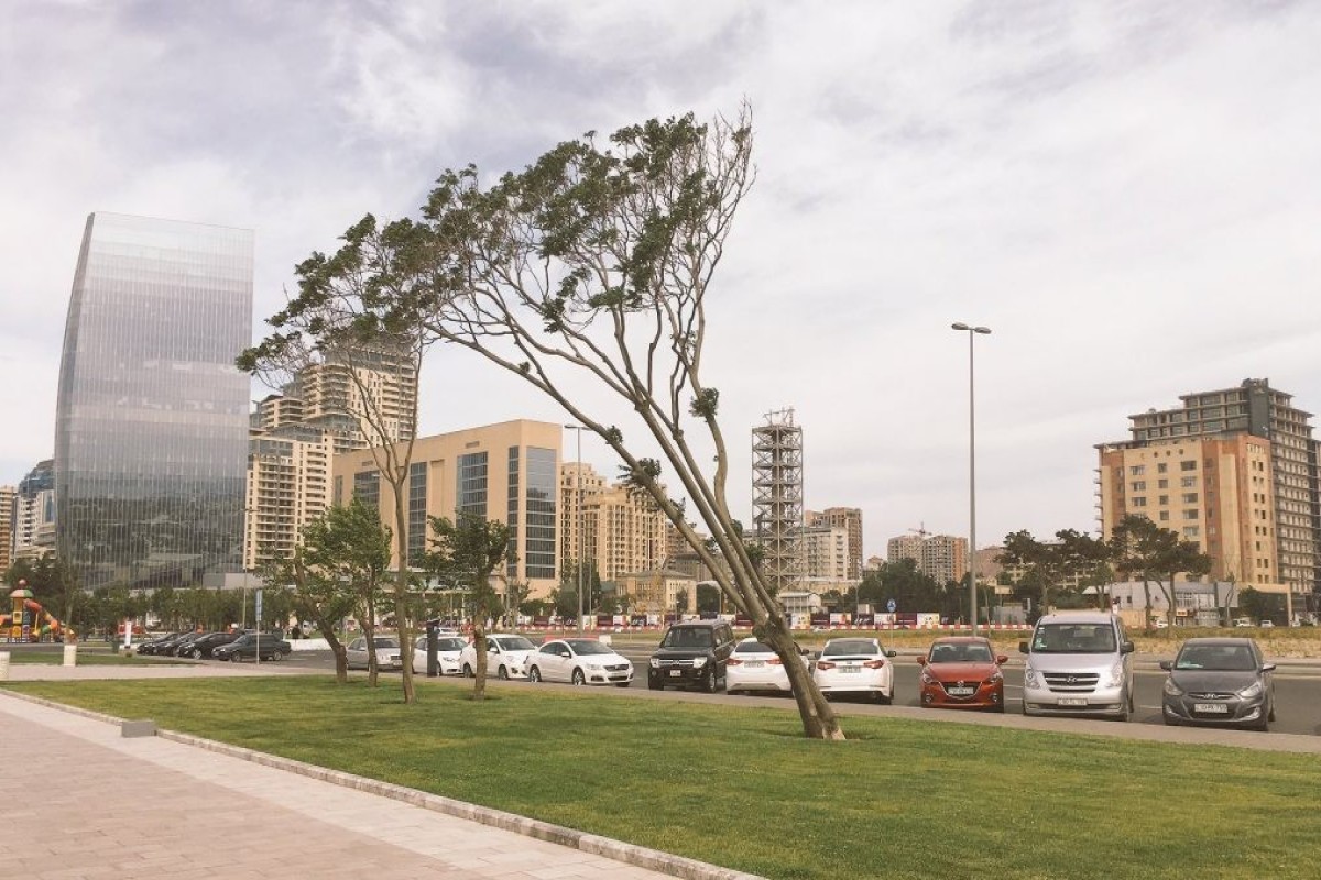 Синоптики предупредили о сильном ветре в Баку и ряде районов