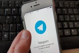 В России назвали дату блокировки Telegram
