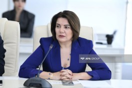 Вюсаля Махиргызы: Необходима цифровизация словарей азербайджанского языка