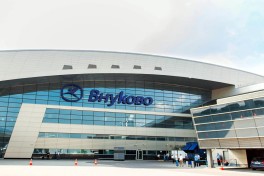 В аэропорту Внуково задержана гражданка Азербайджана с бриллиантами