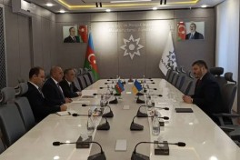 Киев и Баку активизируют диалог по гуманитарному разминированию