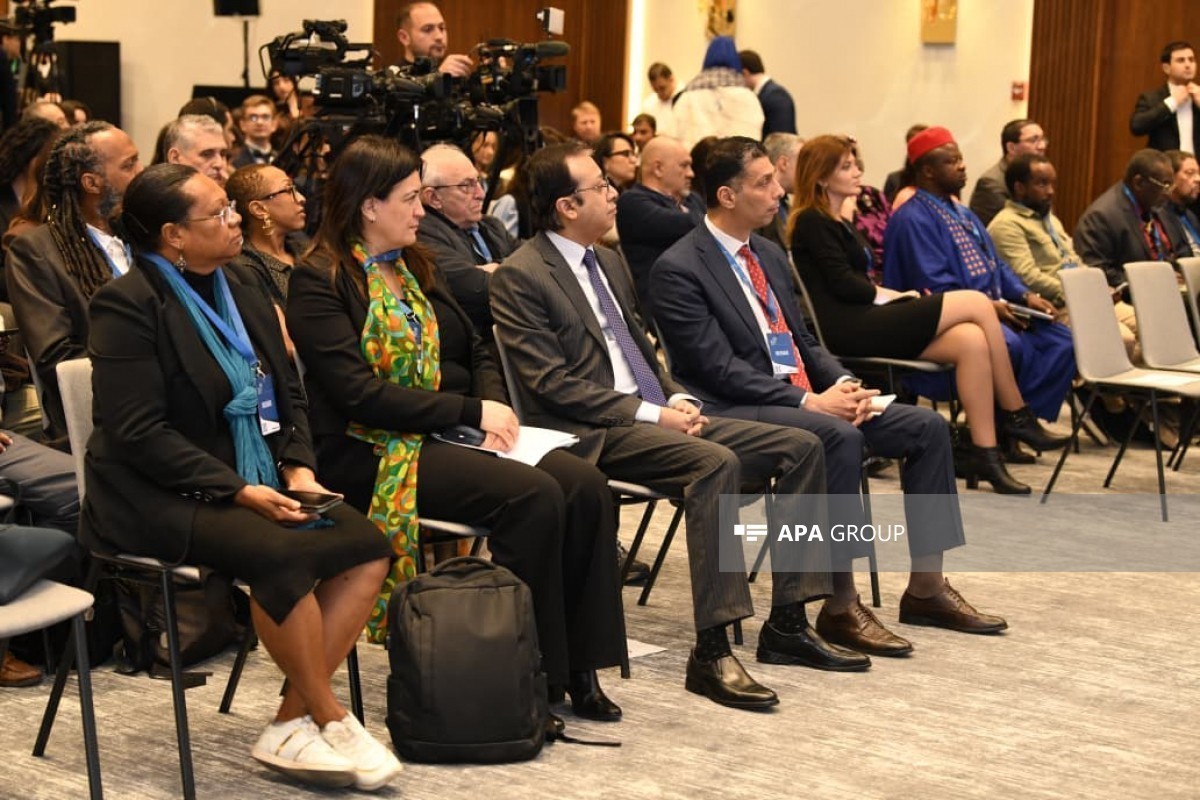 Бакинская инициативная группа собрала экспертов на конференции по неоколониализму-ФОТО 