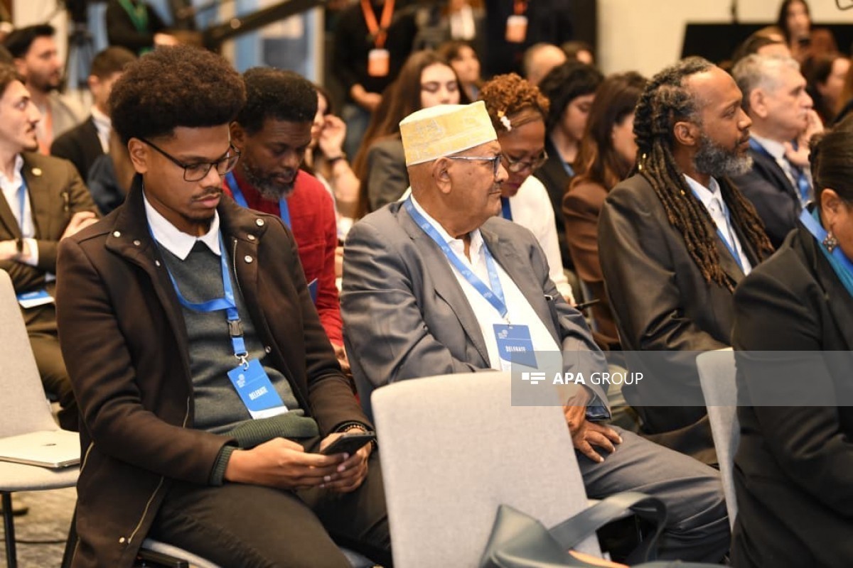 Бакинская инициативная группа собрала экспертов на конференции по неоколониализму-ФОТО 