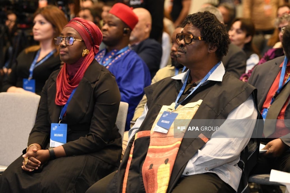 Бакинская инициативная группа собрала экспертов на конференции по неоколониализму-ФОТО 