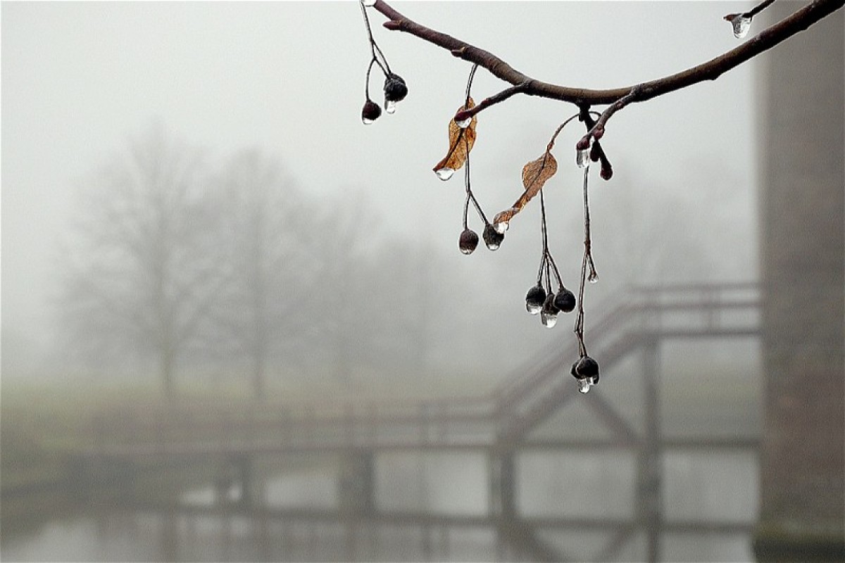 В Азербайджане ожидаются переменная облачность и осадки - ПРОГНОЗ 