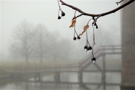 В Азербайджане ожидаются переменная облачность и осадки - ПРОГНОЗ 