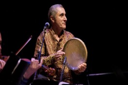 Алим Гасымов занялся предпринимательством