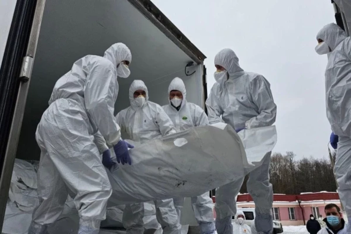 Россия и Украина провели обмен телами погибших военных