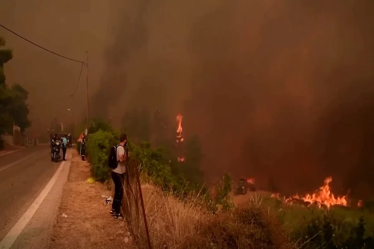 Дым пожаров связали с ростом насильственных преступлений