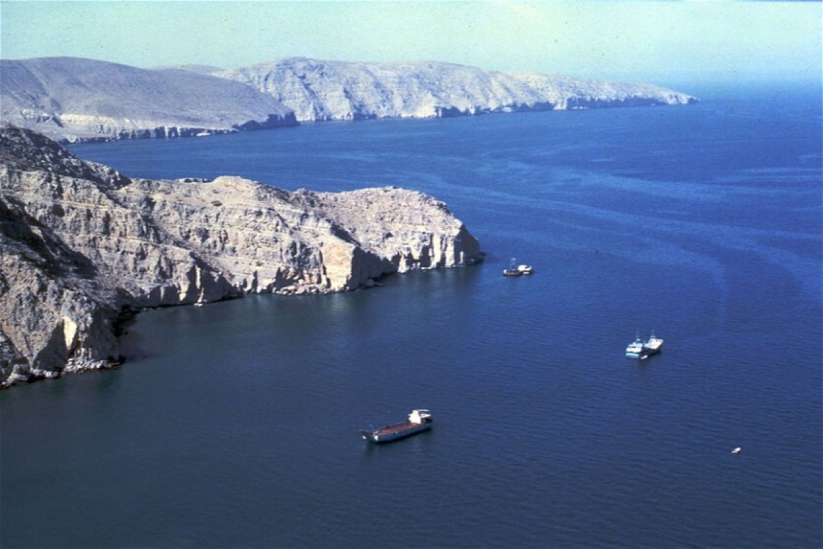 Нефтяные компании приостановили перевозки через Ормузский пролив 