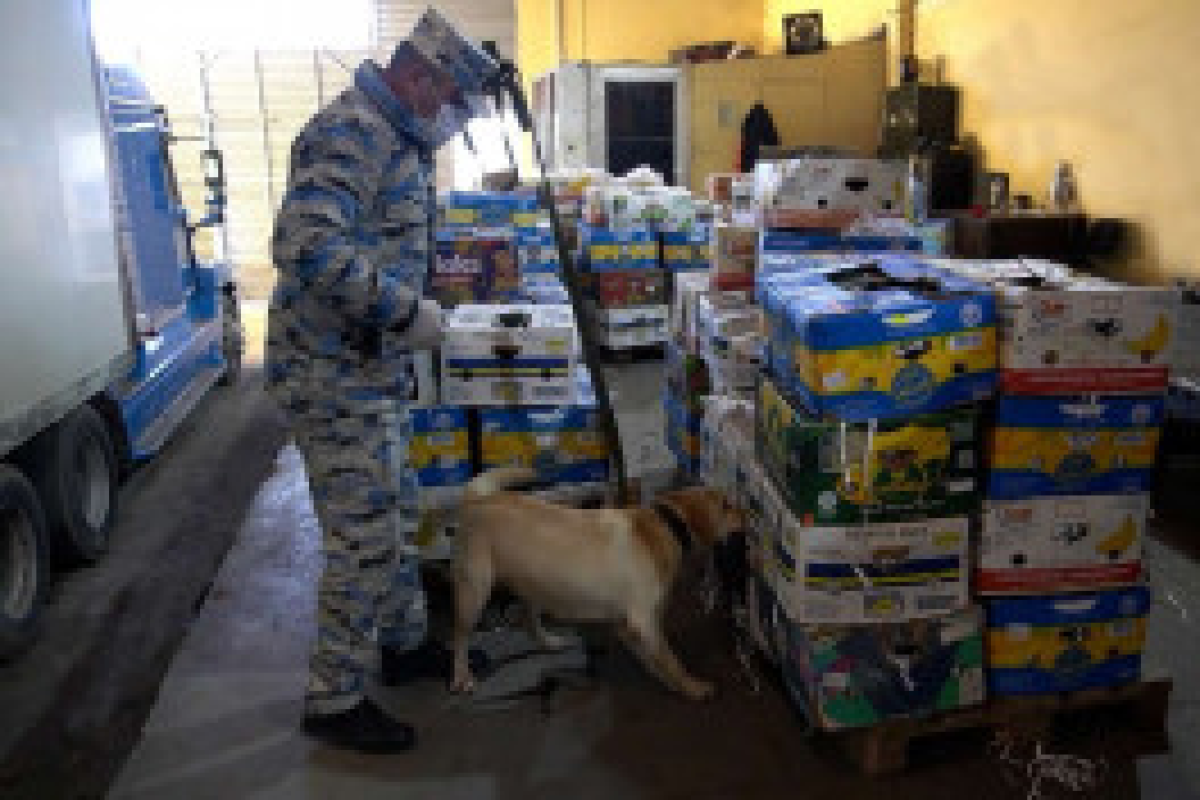 В Астаре в грузе с арбузами выявлена крупная партия наркотиков -ФОТО -ВИДЕО 