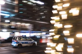 В Дрездене около 50 злоумышленников устроили погромы в новогоднюю ночь