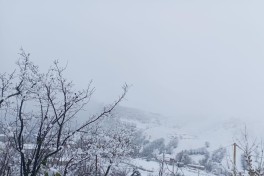 В горах Джалилабада снег достиг 25 см