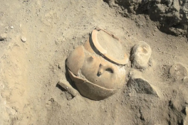 Более 600 жилищ: археологи пересматривают историю заселения Ирландии