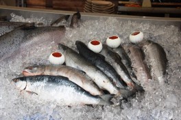 Мировые цены на рыбу достигли двухлетнего максимума