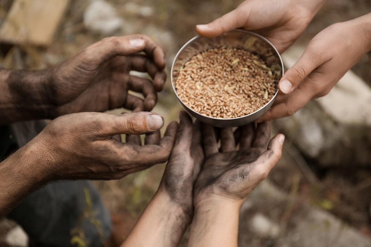 Число голодающих в мире выросло до 673 млн человек