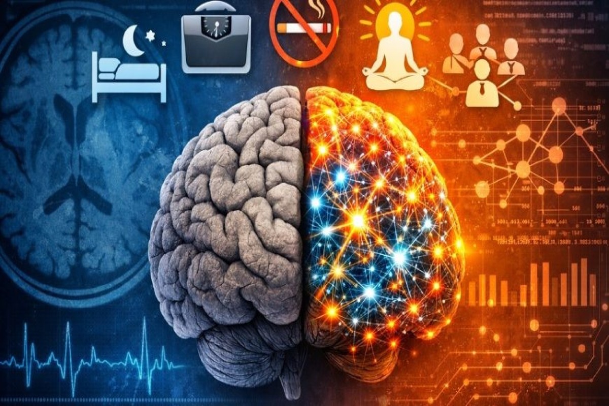 Ученые из Китая и США выявили факторы защиты мозга