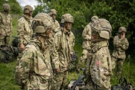 СМИ: Военные Дании обязаны сразу же открывать огонь в случае вторжения