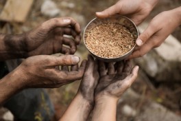 Число голодающих в мире выросло до 673 млн человек
