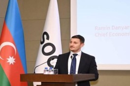 SOCAR меняет представителя в совете директоров Petkim