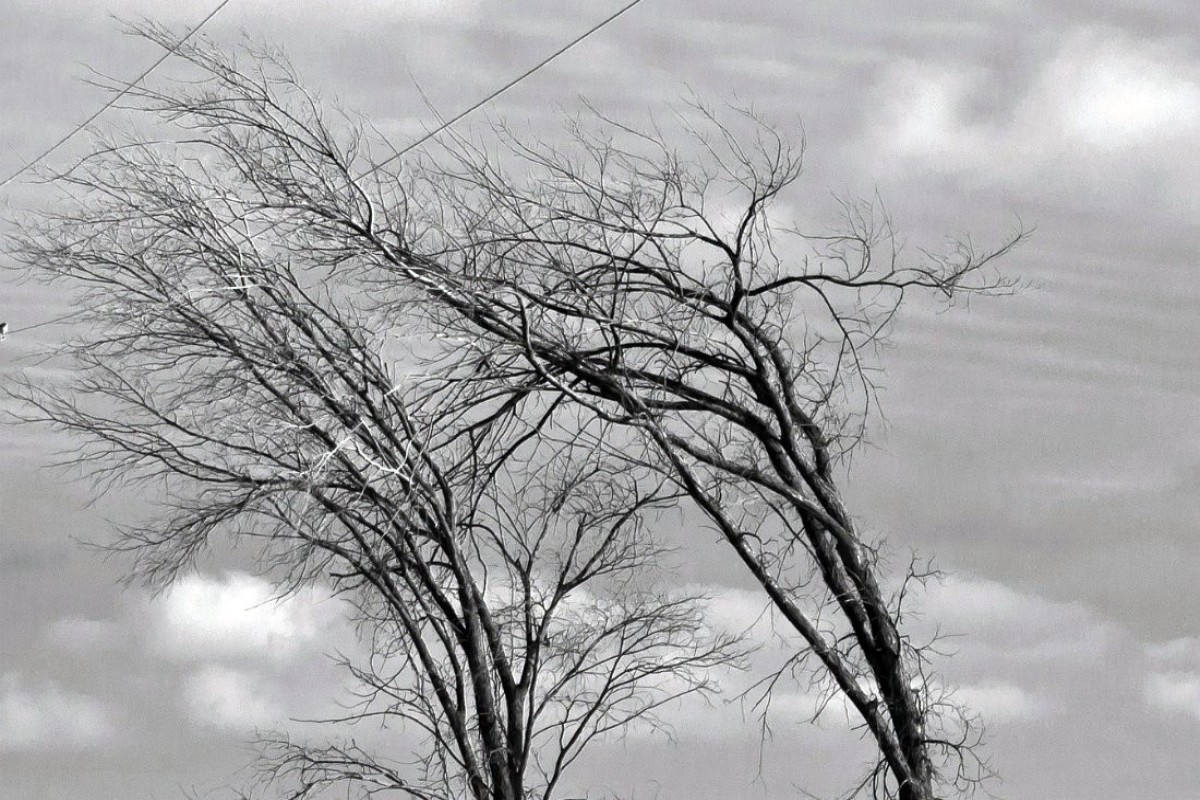 МЧС Азербайджана предупредило население об усилении ветра 