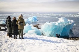 Стало известно об отсутствии у Европы плана по предотвращению захвата Гренландии США