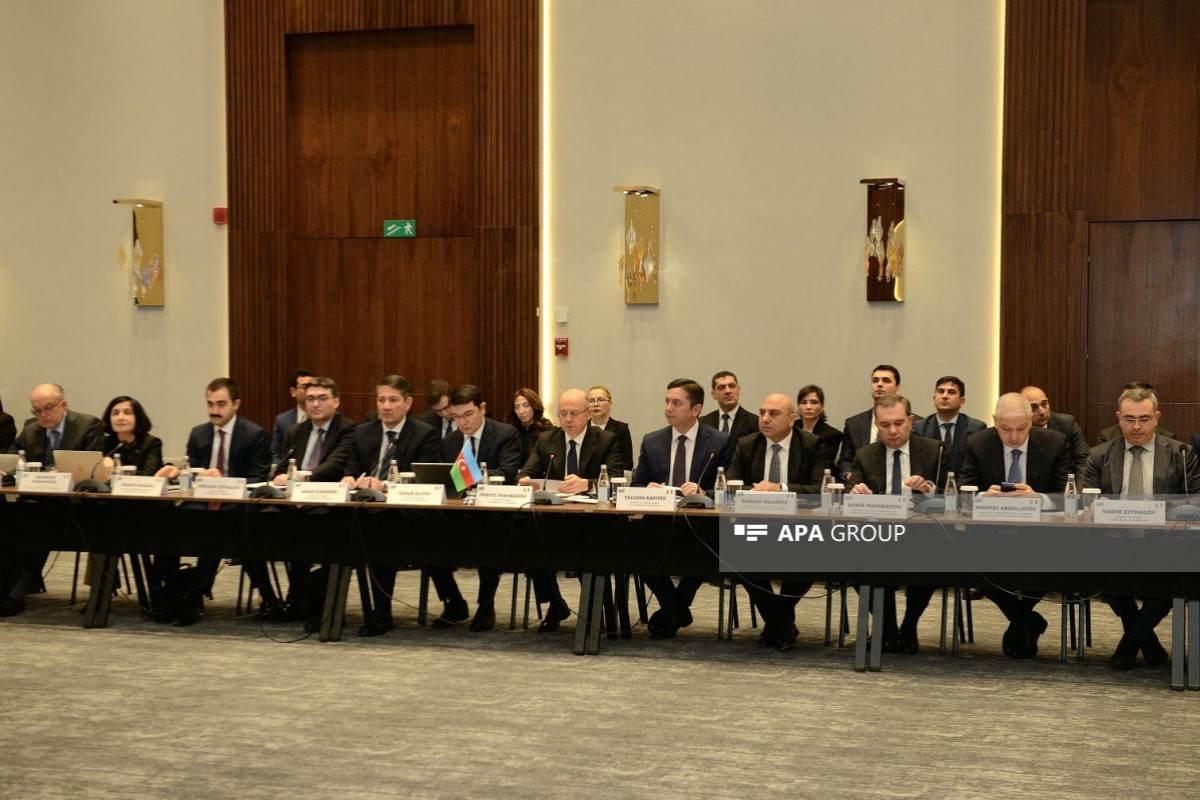В Баку проходит заседание азербайджано-итальянской межправкомиссии-ФОТО 