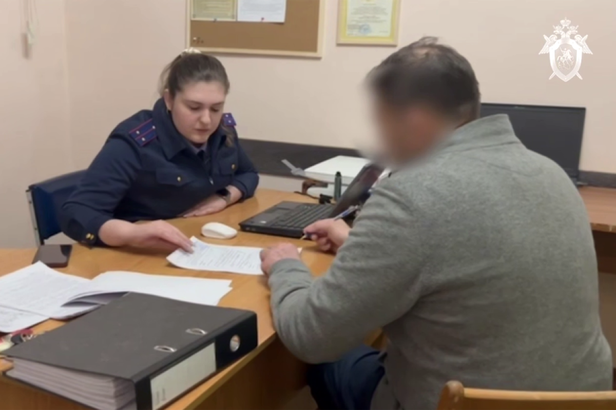 СК РФ: По делу о гибели 9 младенцев задержан главврач и завотделом